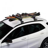 Cruz Ski Carrier